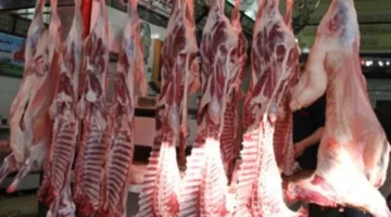 أسعار اللحمة البلدي في كفر الشيخ الجمعة 24 أكتوبر 2025 وتغيرات السوق المحلية